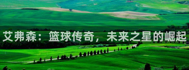 okooo澳客3代理：艾弗森：篮球传奇，未来之星的崛起