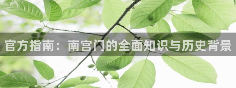 okooo澳客集团官网