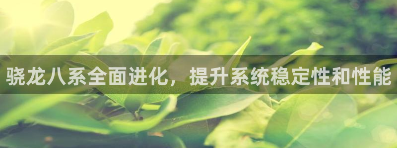 okooo澳客招商：骁龙八系全面进化，提升系统稳定性和性能