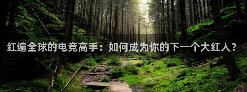 okooo澳客体育热门赛事有哪些：红遍全球的电竞高手：如何成为你的下一个大红人？