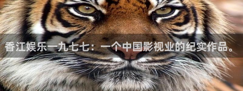 okooo澳客凯捷注册：香江娱乐一九七七：一个中国影视业的纪实作品。