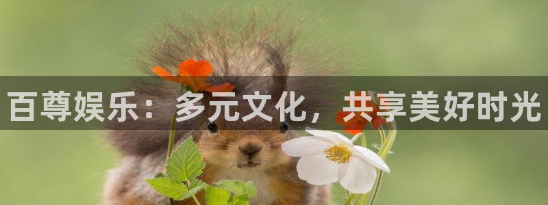 okooo澳客官网注册：百尊娱乐：多元文化，共享美好时光