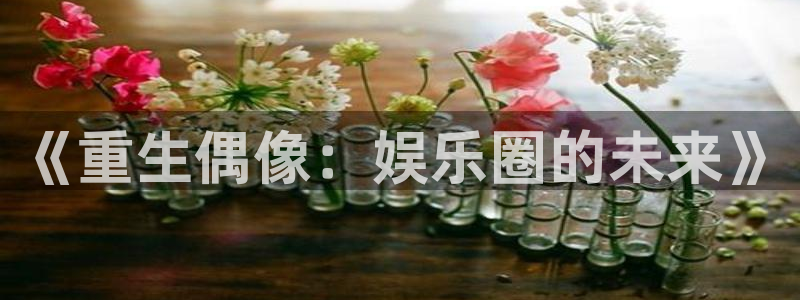 okooo澳客vk：《重生偶像：娱乐圈的未来》