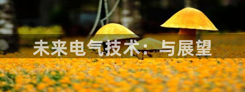 okooo澳客f平台注册：未来电气技术：与展望