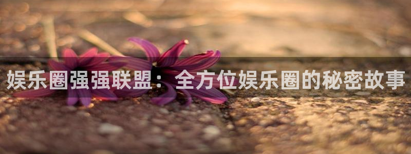 okooo澳客体育1招商：娱乐圈强强联盟：全方位娱乐圈的秘密故事