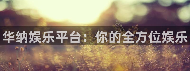 上海okooo澳客汽车电子有限公司：华纳娱乐平台：你的全方位娱乐