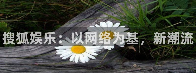 okooo澳客体育论坛：搜狐娱乐：以网络为基，新潮流