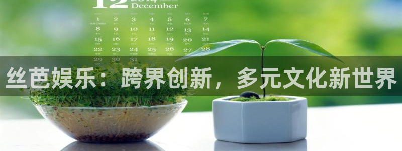 okooo澳客2代理注册：丝芭娱乐：跨界创新，多元文化新世界
