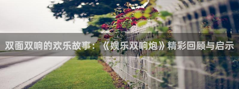 okooo澳客凯捷开号链接：双面双响的欢乐故事：《娱乐双响炮》精彩回顾与启示