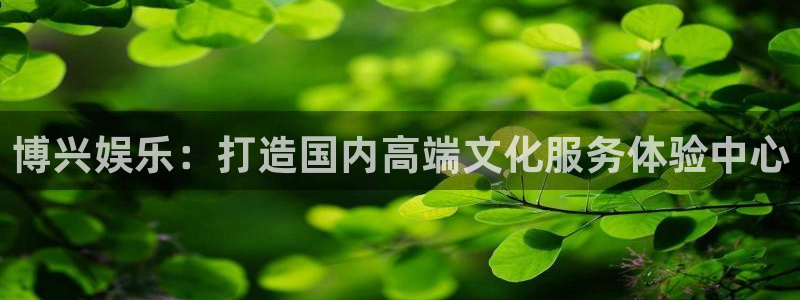 okooo澳客环保：博兴娱乐：打造国内高端文化服务体验中心
