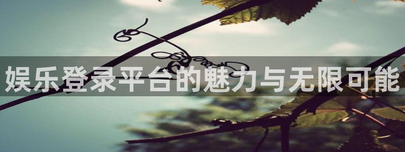 okooo澳客4平台：娱乐登录平台的魅力与无限可能