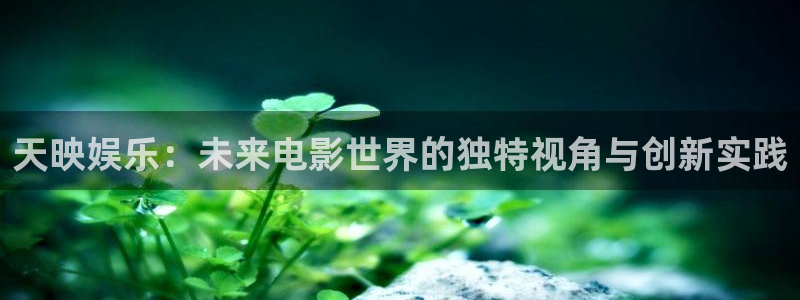 okooo澳客体育平台登录入口：天映娱乐：未来电影世界的独特视角与创新实践