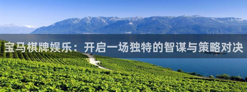 okooo澳客体育4：宝马棋牌娱乐：开启一场独特的智谋与策略对决