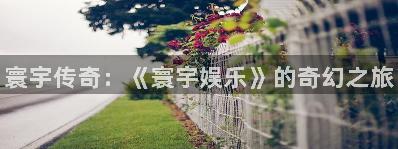 okooo澳客平台在线注册：寰宇传奇：《寰宇娱乐》的奇幻之旅