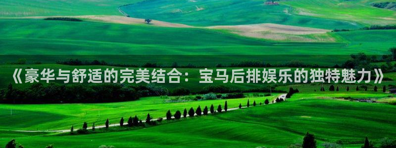 okooo澳客2体育：《豪华与舒适的完美结合：宝马后排娱乐的独特魅力》
