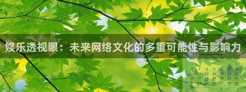 okooo澳客2登录：娱乐透视眼：未来网络文化的多重可能性与影响力