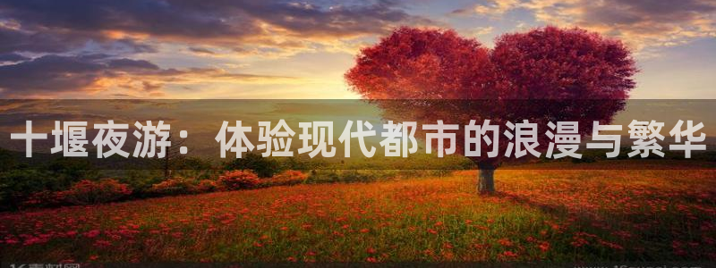 okooo澳客官网注册：十堰夜游：体验现代都市的浪漫与繁华