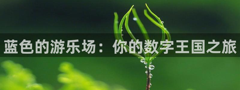 okooo澳客零能源集团：蓝色的游乐场：你的数字王国之旅