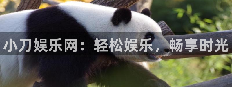 okooo澳客4注册：小刀娱乐网：轻松娱乐，畅享时光
